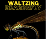waltzing dragonfly